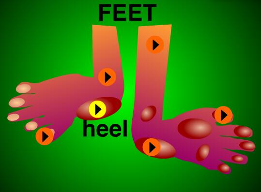 幼兒啟蒙英語:身體部位英語之小腳feet