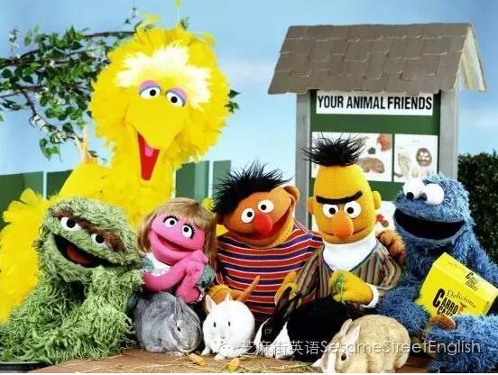 少兒英語學習：一些動物英語說法以及它們的叫聲