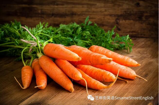 種胡蘿卜