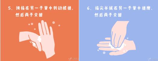 認真洗手7步驟