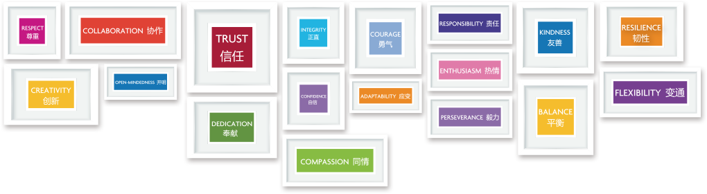 芝麻街英語18個價值觀英語口語培訓(xùn)課程